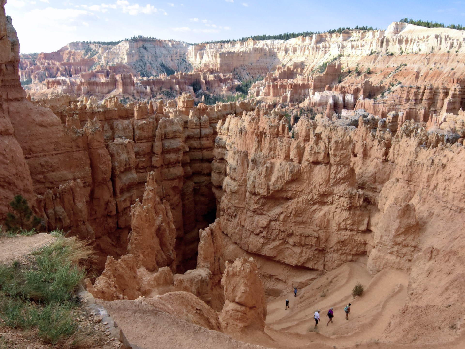 Brains on Cheese can translate business needs into actionable technical requirements.